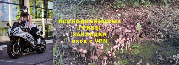 ГАЛЛЮЦИНОГЕННЫЕ ГРИБЫ Зеленокумск