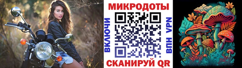 Псилоцибиновые грибы Psilocybe  Темрюк 